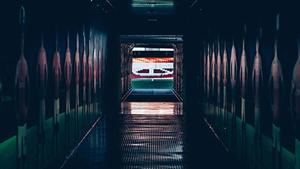 Stadium Construction